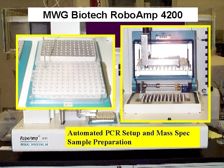 MWG Biotech Robo. Amp 4200 Automated PCR Setup and Mass Spec Sample Preparation 