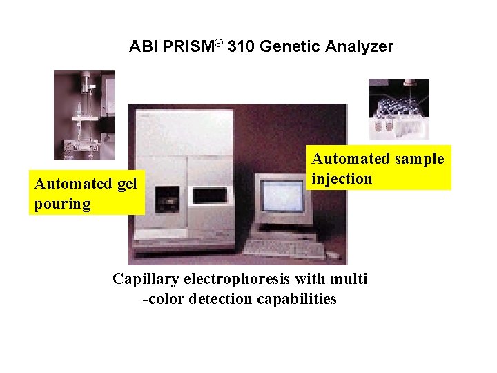 ABI PRISM® 310 Genetic Analyzer Automated gel pouring Automated sample injection Capillary electrophoresis with