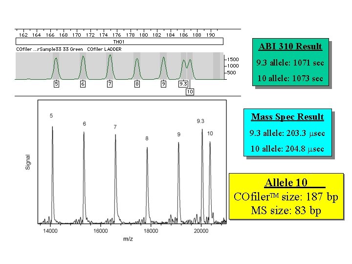 ABI 310 Result 9. 3 allele: 1071 sec 10 allele: 1073 sec Mass Spec