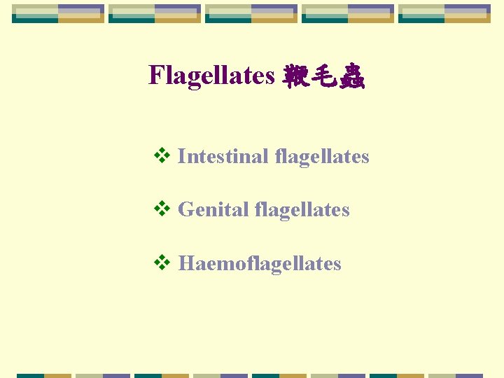 Flagellates 鞭毛蟲 v Intestinal flagellates v Genital flagellates v Haemoflagellates Flagellates 鞭毛蟲 v Intestinal flagellates v Genital flagellates v Haemoflagellates