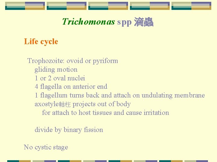 Trichomonas spp 滴蟲 Life cycle Trophozoite: ovoid or pyriform gliding motion 1 or 2