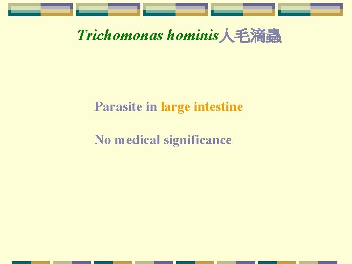 Trichomonas hominis人毛滴蟲 Parasite in large intestine No medical significance Trichomonas hominis人毛滴蟲 Parasite in large intestine No medical significance