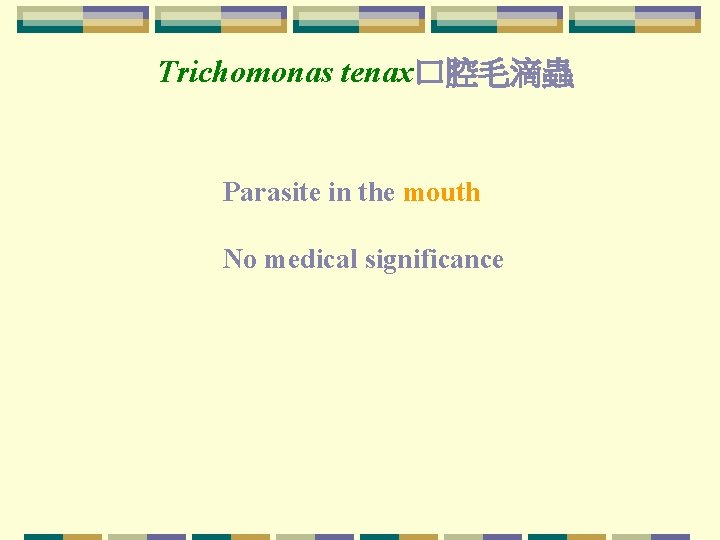 Trichomonas tenax口腔毛滴蟲 Parasite in the mouth No medical significance 