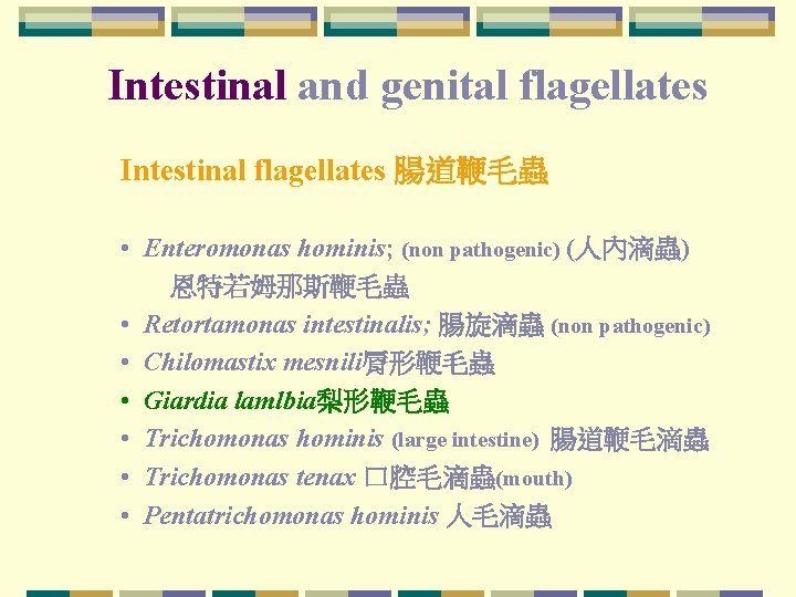 Intestinal and genital flagellates Intestinal flagellates 腸道鞭毛蟲 • Enteromonas hominis; (non pathogenic) (人內滴蟲) 恩特若姆那斯鞭毛蟲