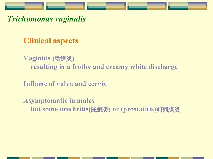 Trichomonas vaginalis Clinical aspects Vaginitis (陰道炎) resulting in a frothy and creamy white discharge