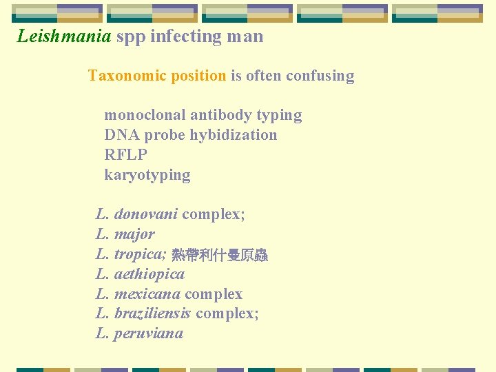 Leishmania spp infecting man Taxonomic position is often confusing monoclonal antibody typing DNA probe Leishmania spp infecting man Taxonomic position is often confusing monoclonal antibody typing DNA probe