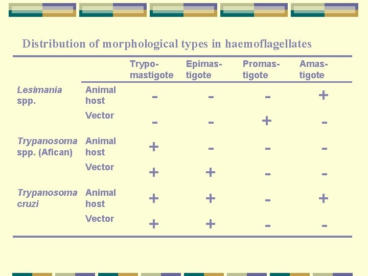 Distribution of morphological types in haemoflagellates Trypomastigote Lesimania spp. Animal host Vector Trypanosoma Animal Distribution of morphological types in haemoflagellates Trypomastigote Lesimania spp. Animal host Vector Trypanosoma Animal