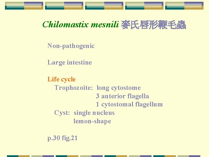Chilomastix mesnili 麥氏唇形鞭毛蟲 Non-pathogenic Large intestine Life cycle Trophozoite: long cytostome 3 anterior flagella Chilomastix mesnili 麥氏唇形鞭毛蟲 Non-pathogenic Large intestine Life cycle Trophozoite: long cytostome 3 anterior flagella