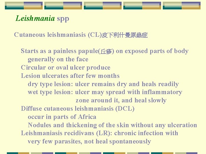 Leishmania spp Cutaneous leishmaniasis (CL)皮下利什曼原蟲症 Starts as a painless papule(丘疹) on exposed parts of