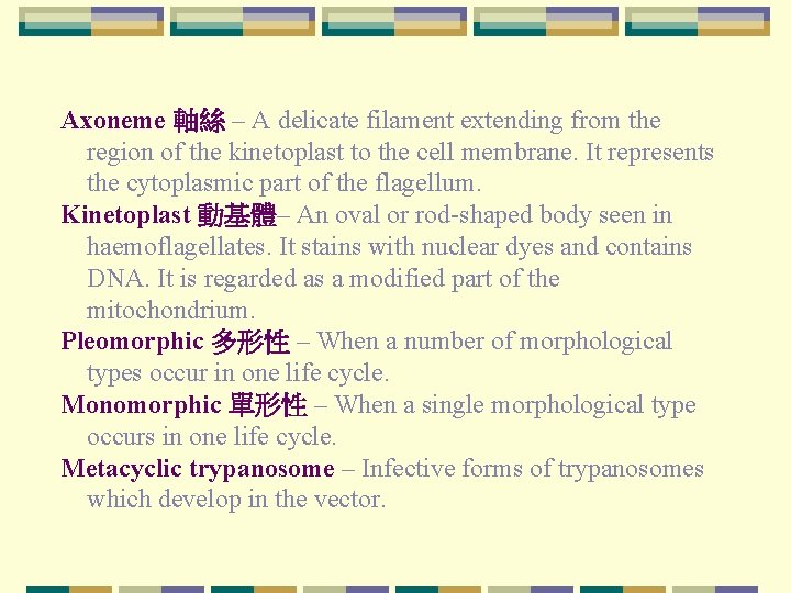 Axoneme 軸絲 – A delicate filament extending from the region of the kinetoplast to