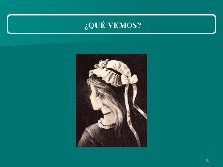 ¿QUÉ VEMOS? 18 ¿QUÉ VEMOS? 18