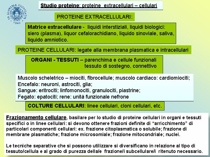 Studio proteine: proteine extracellulari – cellulari PROTEINE EXTRACELLULARI: Matrice extracellulare - liquidi interstiziali, liquidi