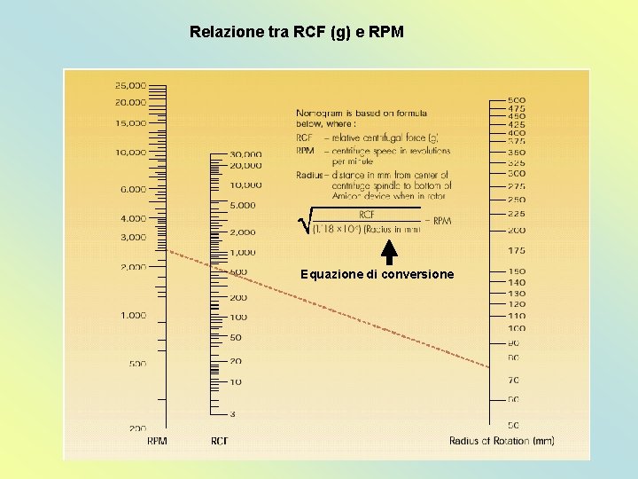 Relazione tra RCF (g) e RPM Equazione di conversione 