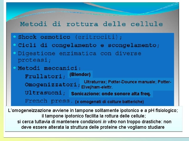 (Blendor) Ultraturrax; Potter-Dounce manuale; Potter. Elvejham-elettr. Sonicazione: onde sonore alta freq. (x omogenati di