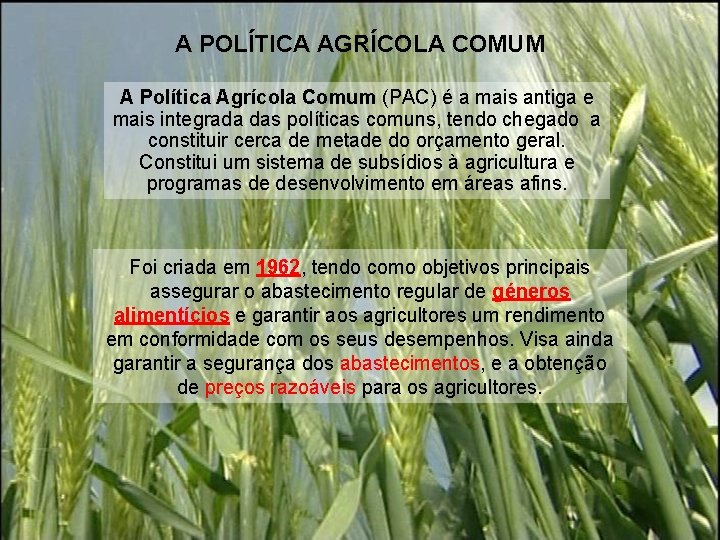 A POLÍTICA AGRÍCOLA COMUM A Política Agrícola Comum (PAC) é a mais antiga e