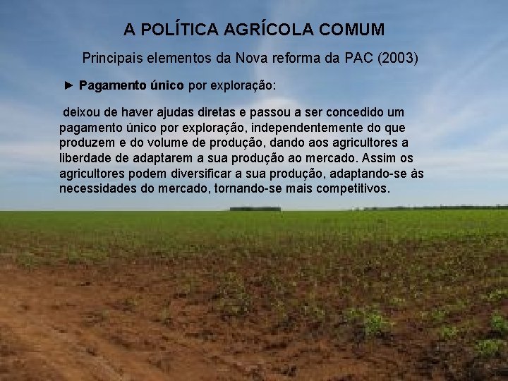 A POLÍTICA AGRÍCOLA COMUM Principais elementos da Nova reforma da PAC (2003) ► Pagamento