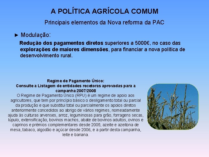 A POLÍTICA AGRÍCOLA COMUM Principais elementos da Nova reforma da PAC ► Modulação: Redução