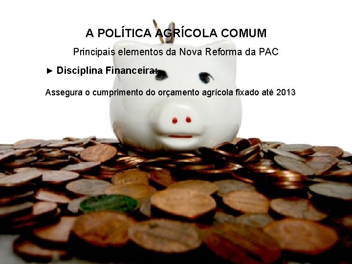 A POLÍTICA AGRÍCOLA COMUM Principais elementos da Nova Reforma da PAC ► Disciplina Financeira: