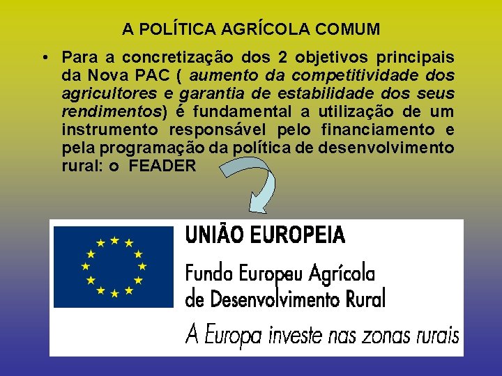 A POLÍTICA AGRÍCOLA COMUM • Para a concretização dos 2 objetivos principais da Nova