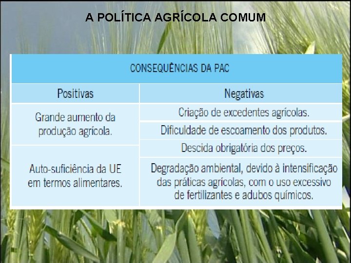 A POLÍTICA AGRÍCOLA COMUM 