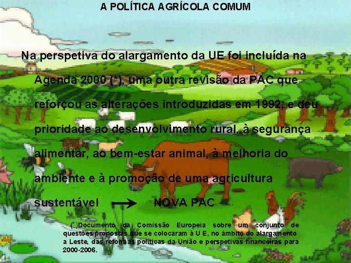 A POLÍTICA AGRÍCOLA COMUM Na perspetiva do alargamento da UE foi incluída na Agenda