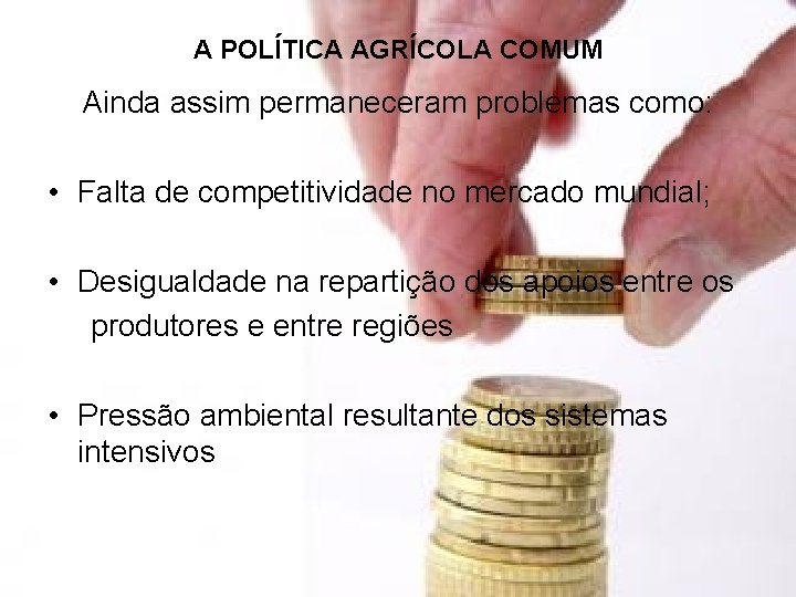 A POLÍTICA AGRÍCOLA COMUM Ainda assim permaneceram problemas como: • Falta de competitividade no