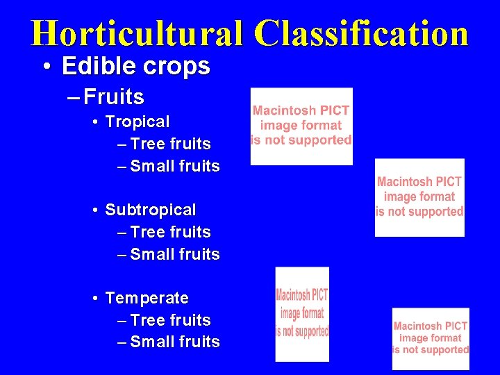 Horticultural Classification • Edible crops – Fruits • Tropical – Tree fruits – Small