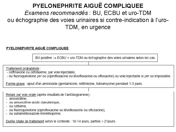 PYELONEPHRITE AIGUË COMPLIQUEE Examens recommandés : BU, ECBU et uro-TDM ou échographie des voies