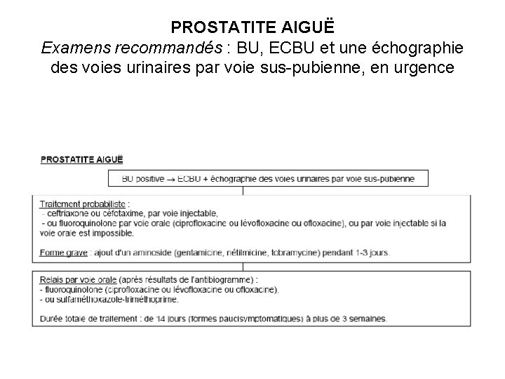 PROSTATITE AIGUË Examens recommandés : BU, ECBU et une échographie des voies urinaires par