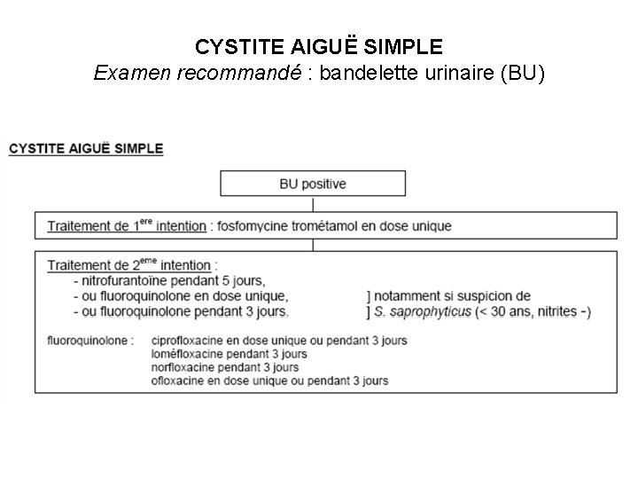 CYSTITE AIGUË SIMPLE Examen recommandé : bandelette urinaire (BU) 