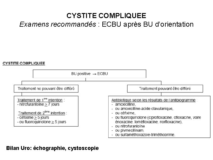 CYSTITE COMPLIQUEE Examens recommandés : ECBU après BU d’orientation Bilan Uro: échographie, cystoscopie 