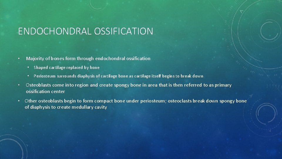 ENDOCHONDRAL OSSIFICATION • • Majority of bones form through endochondral ossification • Shaped cartilage