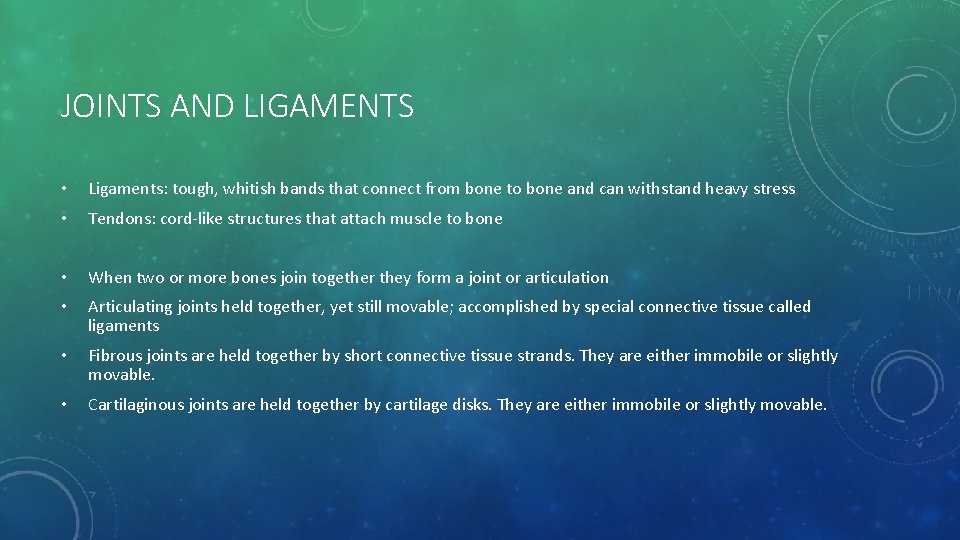 JOINTS AND LIGAMENTS • Ligaments: tough, whitish bands that connect from bone to bone