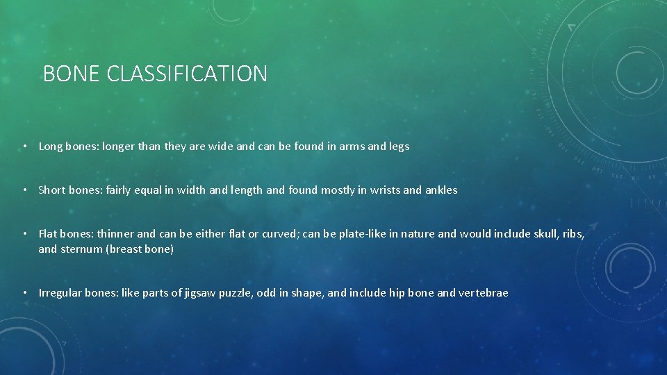 BONE CLASSIFICATION • Long bones: longer than they are wide and can be found