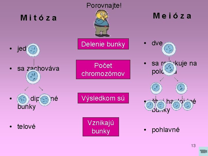 Porovnajte! Meióza Mitóza Delenie bunky • dve • sa zachováva Počet chromozómov • sa