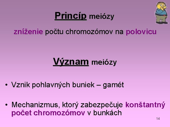 Princíp meiózy zníženie počtu chromozómov na polovicu Význam meiózy • Vznik pohlavných buniek –