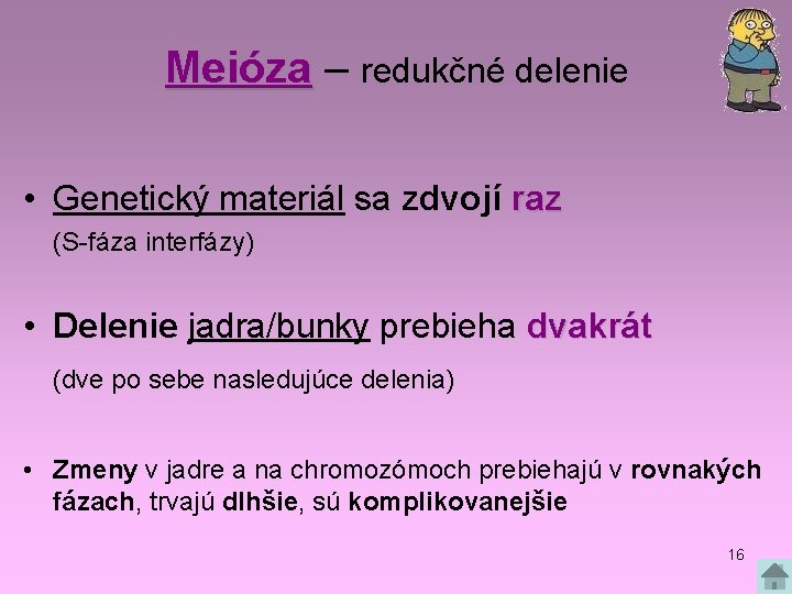 Meióza – redukčné delenie • Genetický materiál sa zdvojí raz (S-fáza interfázy) • Delenie