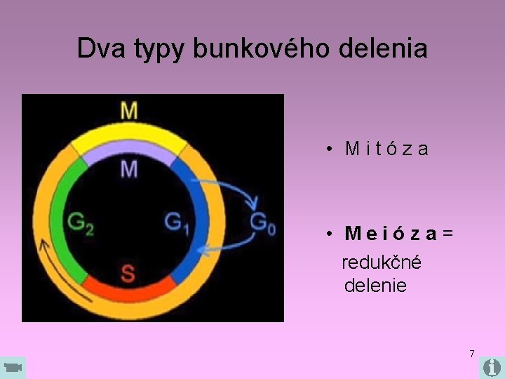 Dva typy bunkového delenia • Mitóza • Meióza= redukčné delenie 7 