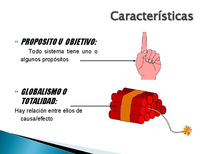 Características PROPOSITO U OBJETIVO: Todo sistema tiene uno o algunos propósitos GLOBALISMO O TOTALIDAD: