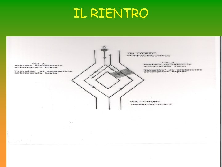 IL RIENTRO IL RIENTRO