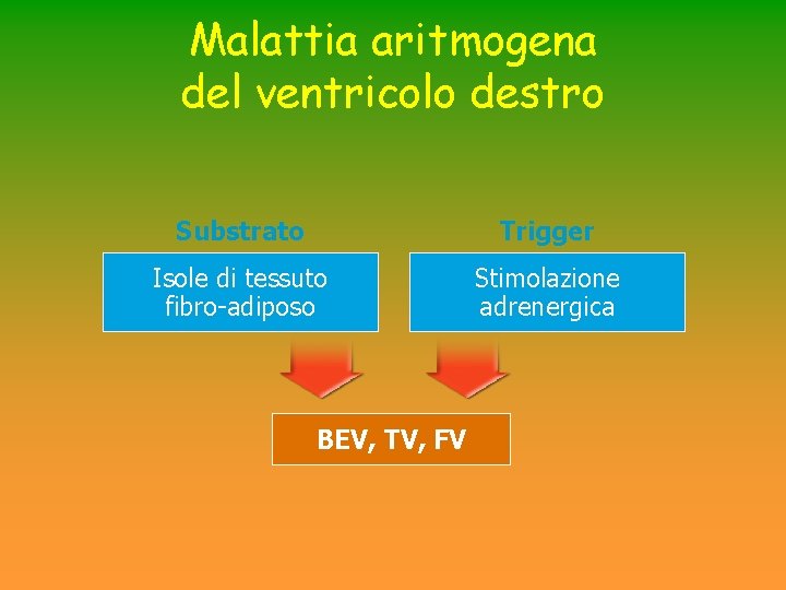 Malattia aritmogena del ventricolo destro Substrato Trigger Isole di tessuto fibro-adiposo Stimolazione adrenergica BEV, Malattia aritmogena del ventricolo destro Substrato Trigger Isole di tessuto fibro-adiposo Stimolazione adrenergica BEV,