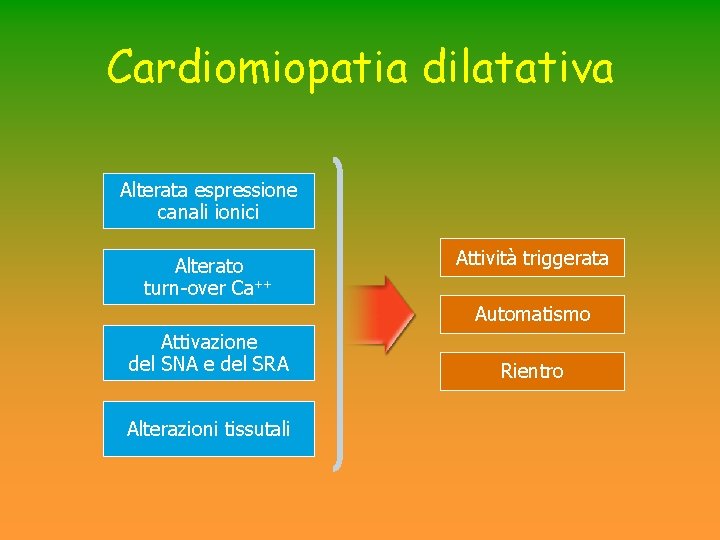 Cardiomiopatia dilatativa Alterata espressione canali ionici Alterato turn-over Ca++ Attività triggerata Automatismo Attivazione del Cardiomiopatia dilatativa Alterata espressione canali ionici Alterato turn-over Ca++ Attività triggerata Automatismo Attivazione del