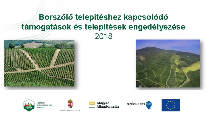 Borszőlő telepítéshez kapcsolódó támogatások és telepítések engedélyezése 2018 Csoportos tájékoztatókhoz aktualizált ppt-k bekérése 