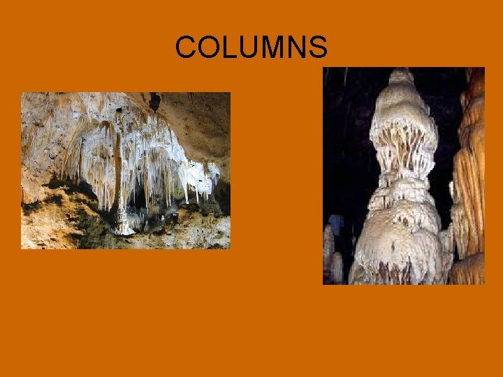 COLUMNS 