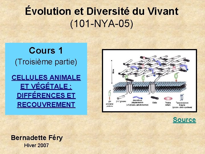 Évolution et Diversité du Vivant (101 -NYA-05) Cours 1 (Troisième partie) CELLULES ANIMALE ET