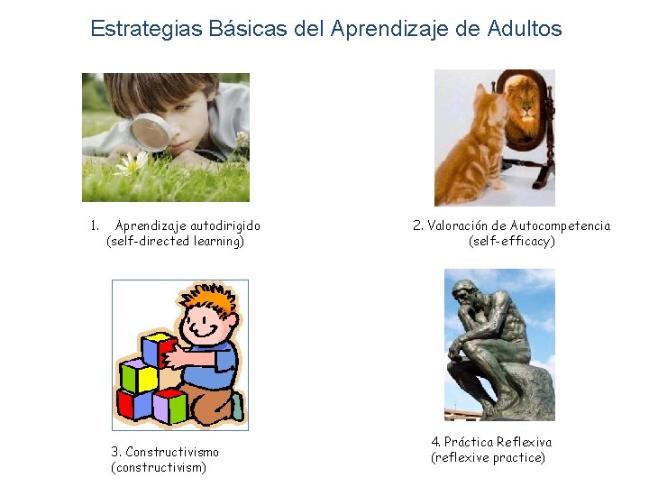 Estrategias Básicas del Aprendizaje de Adultos 1. Aprendizaje autodirigido (self-directed learning) 3. Constructivismo (constructivism)