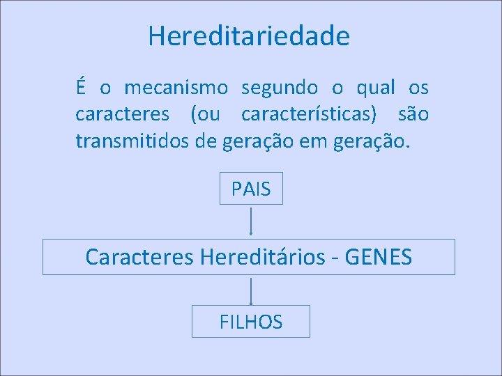 Hereditariedade É o mecanismo segundo o qual os caracteres (ou características) são transmitidos de