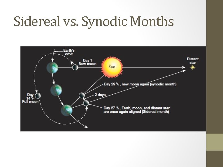 Sidereal vs. Synodic Months 