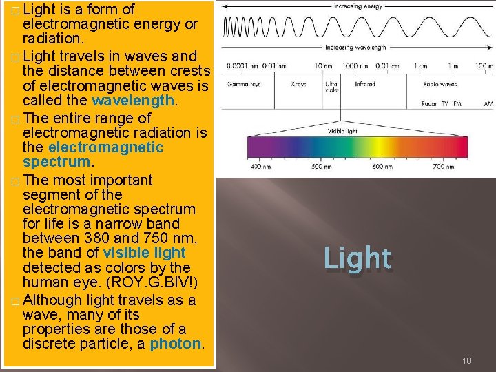� Light is a form of electromagnetic energy or radiation. � Light travels in