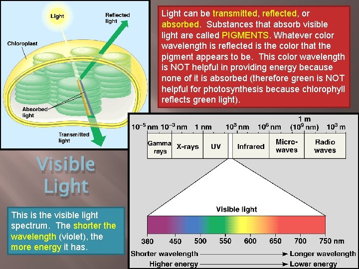 Light can be transmitted, reflected, or absorbed. Substances that absorb visible light are called